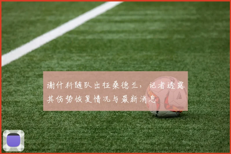 谢什科随队出征桑德兰，记者透露其伤势恢复情况与最新消息