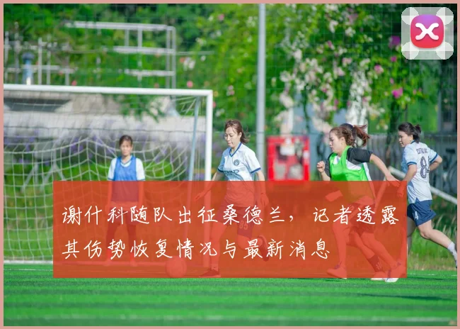 谢什科随队出征桑德兰，记者透露其伤势恢复情况与最新消息